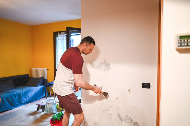 Best Attic Mold Remediation in Rome, IL